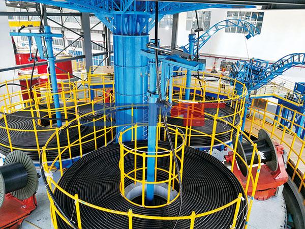 CYL��������ʽ���»�