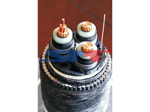 CYL��������ʽ���»�