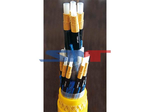 CYL��������ʽ���»�