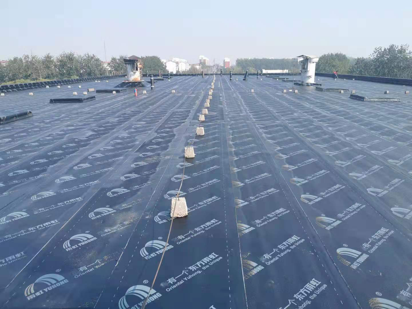 1_200323112451_1 首页- 云顶国际集团官方网站